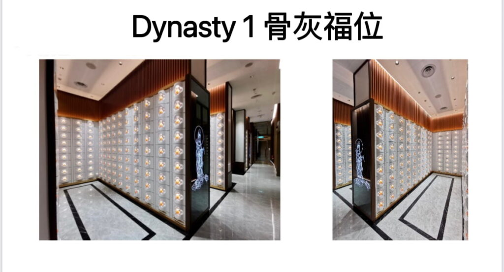 dynasty-1